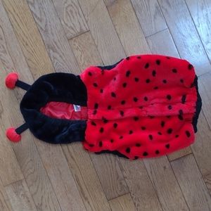 Girls Ladybug Halloween Costume